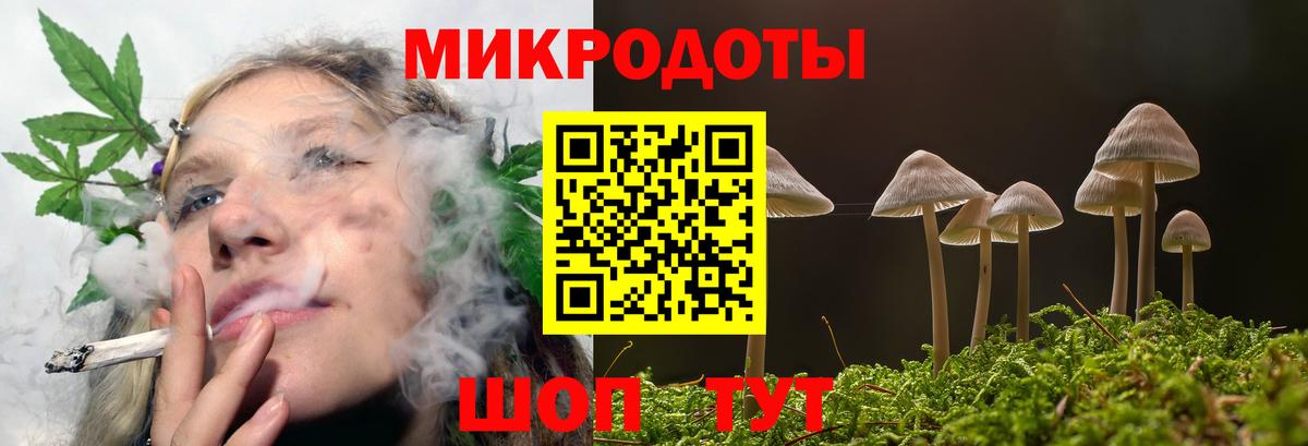 Галлюциногенные грибы мухоморы Кушва